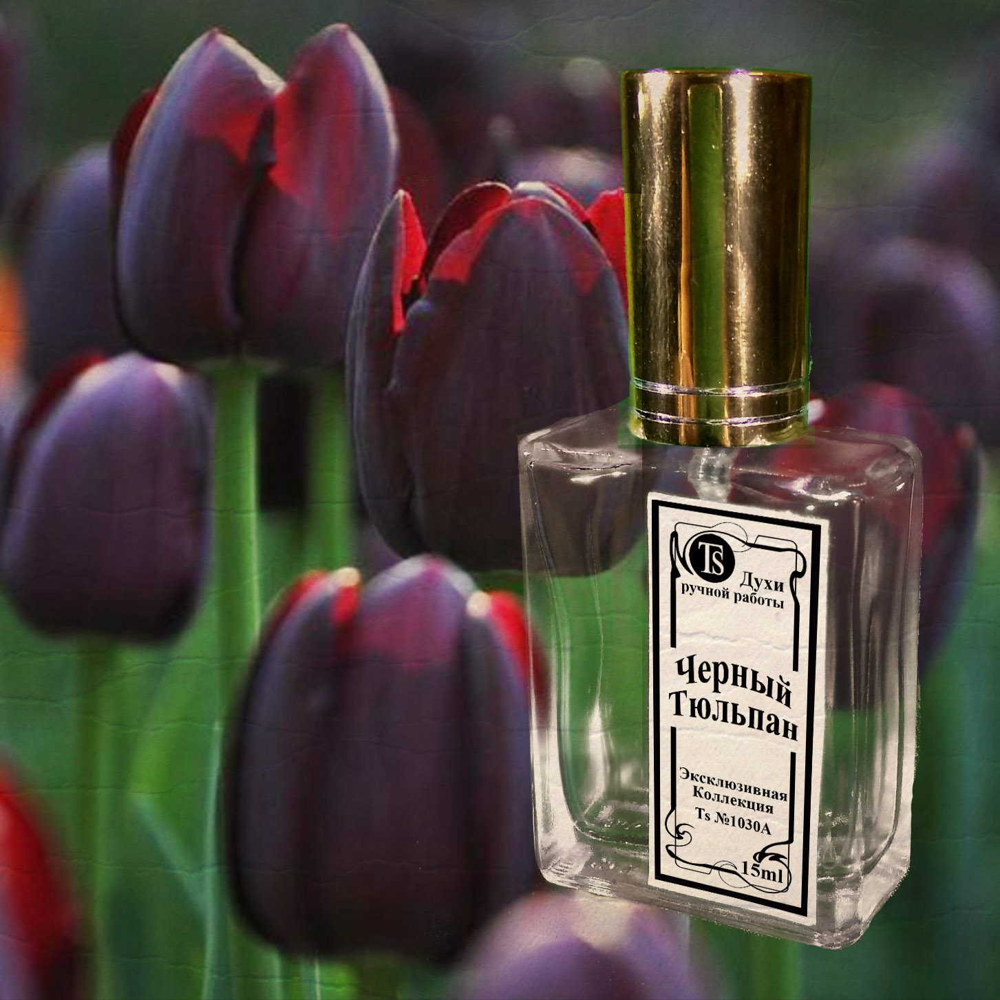 Духи «Черный Тюльпан» — Цветочно Мускусный Аромат Духи «Черный Тюльпан» — Цветочно Мускусный Аромат