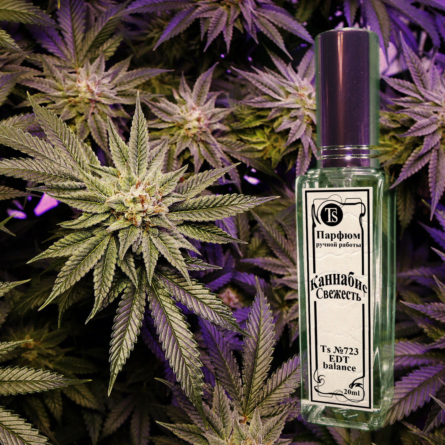 Парфюм "Каннабис-Свежесть" - Аромат, Который Сделает Ваш День Парфюм "Каннабис-Свежесть" - Аромат, Который Сделает Ваш День