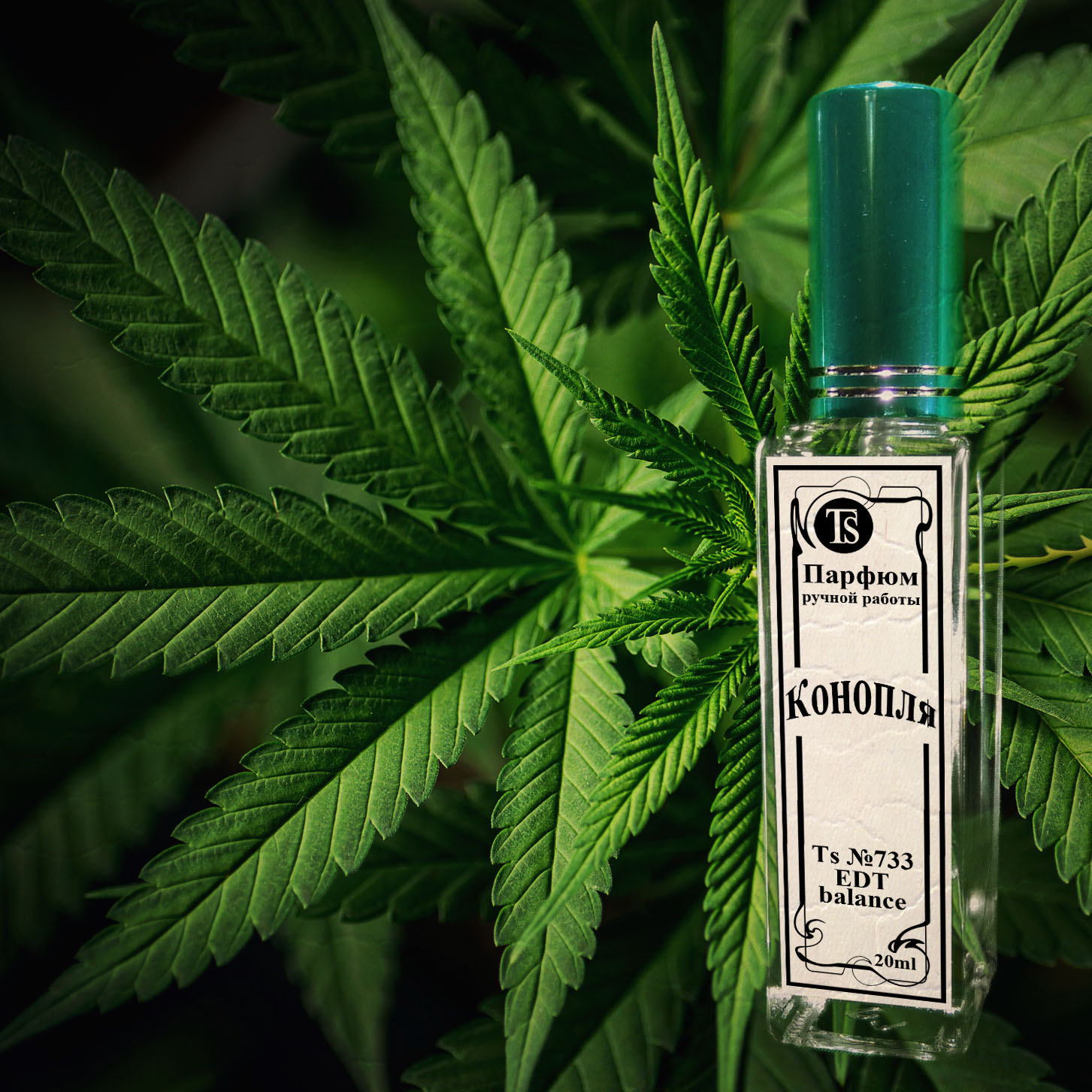 Парфюм "Конопля" - Аккорд Каннабиса с Оттенками Растертого Листа Конопли Парфюм "Конопля" - Аккорд Каннабиса с Оттенками Растертого Листа Конопли