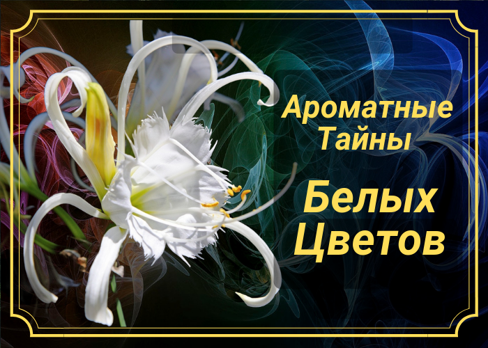 Селективные Ароматы с нотами Белых Цветов